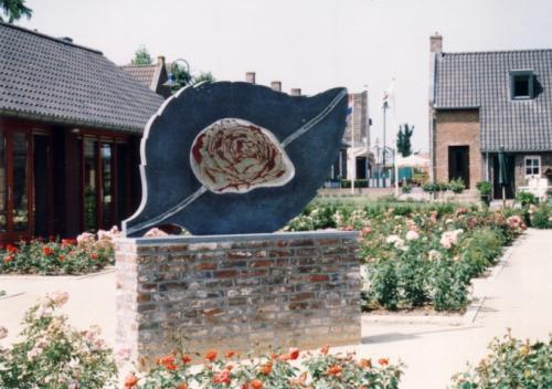 De roos van Lottum, aangekocht door gemeente Horst, geplaatst bij Rozenkenniscentrum Lottum